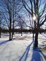 IMG_20250318_083310.jpg