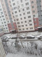 IMG_20250315_085309.jpg