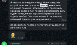 Screenshot_20250320_085042_WhatsApp.jpg