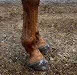 IMG_5757.jpeg