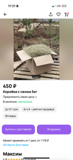 IMG_6202.png
