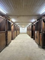 IMG_8531.jpeg