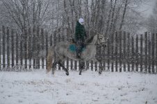 IMG_2203.JPG