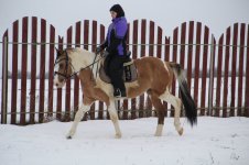 IMG_2650.JPG