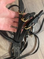IMG_6009.jpeg