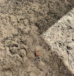 IMG_1221.jpeg