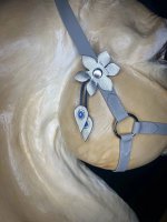 IMG_5367.jpeg