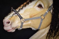 IMG_5369.jpeg