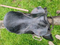 IMG_20250501_105331.jpg