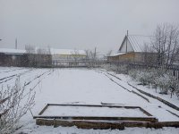 IMG_20250502_123717_1.jpg