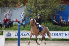 lfK9ECjEo6zaaglKEvAqa2sxNgG8fwMDeRgsRREfwwl1UgTFS9yTAIzbEpQRaoM0ocsDhidvriBi-6ky8M4m7P-_-1.jpg