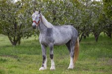 hcU-kormKISo0lIy4zMVcE6pWFfrjYOZyyEWGXumMPiWVVj1gzKEquZT3bwsi-G2GHuM0br1Sr1Ek7eAuY-2szm9.jpg