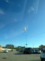 IMG_7217.jpeg