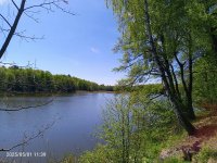 IMG_20250501_113939_245.jpg