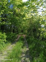 IMG_20250502_091832_616.jpg
