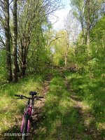 IMG_20250502_093718_115.jpg