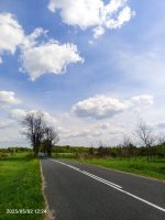 IMG_20250502_122451_674.jpg