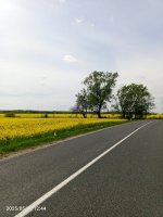IMG_20250502_124413_070.jpg