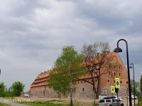 IMG_20250502_172750_196.jpg