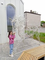 IMG_20250502_173117_428.jpg