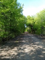 IMG_20250503_081815_478.jpg