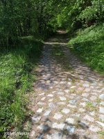 IMG_20250503_092946_316.jpg