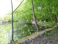 IMG_20250503_093311_972.jpg
