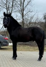 fbaK5jdI5ZjfcRRgZlHU8p8ZchgwQgh4vp4gCaM4xt2TH5m-vUOT-H_7hO354c3hBITg3wXyPo4oi_zbeUBDL6Du.jpg