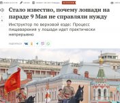 МК_лошади.JPG
