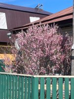 IMG_1993.jpeg
