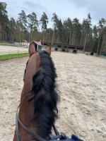 IMG_6811.jpeg