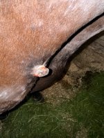 IMG_9637.jpeg