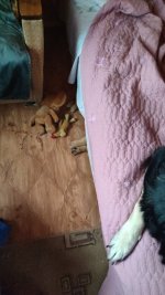 IMG-20250518-WA0026.jpeg