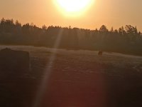 IMG_20250521_052303.jpg
