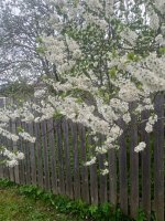 IMG_20250521_180755.jpg
