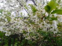IMG_20250521_180156.jpg