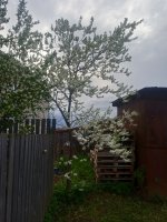 IMG_20250521_180735.jpg