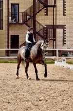 IMG_7147.jpeg