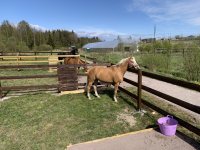 IMG_0444.jpeg