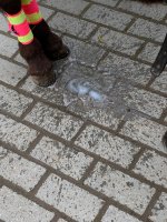 IMG_0965.jpeg