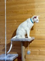 IMG_7250.jpeg