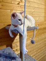 IMG_7238.jpeg