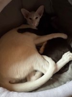 IMG_6435.jpeg