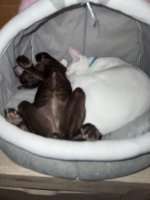 IMG_6431.jpeg