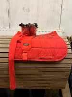 IMG_9454.jpeg