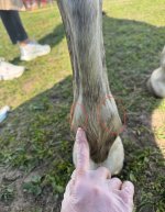 IMG_9682.jpeg