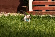 QuLiRY5yQxkEuptfZO3ddFJnh_g3pgT2j00oSJ-C6PWFv3sLP3rCwo_6PX2zak7wpCOOdFpGdIaPOwTN1G5klzpJ.jpg