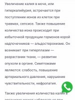 IMG_0323.jpeg