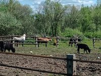 IMG_20250521_123629.jpg
