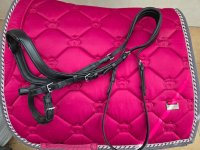 Уздечка 1.jpg